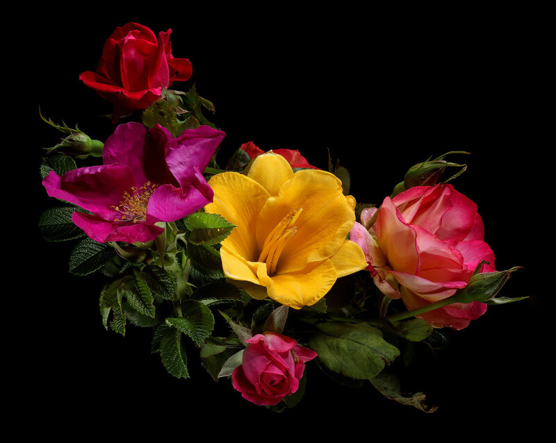 Bouquet of Colorful Flowers — Yellow, Dramatic