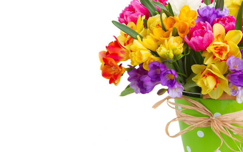 Bouquet of Colorful Flowers — Yellow, Vibrant, Spring