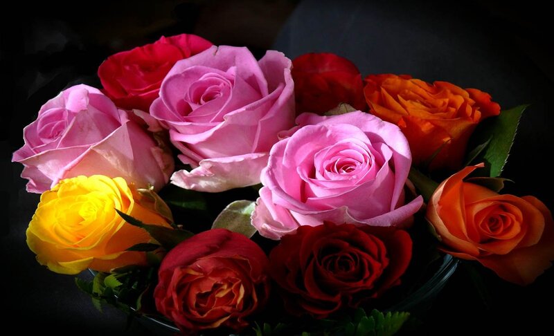 Bouquet of Colorful Roses — Pink, Dramatic