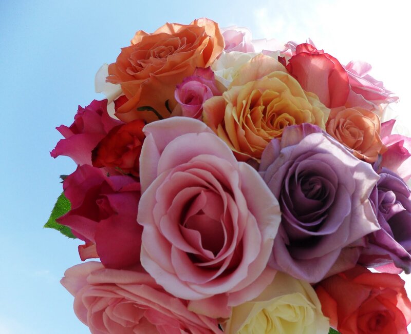 Bouquet of Colorful Roses — Pink, Serene