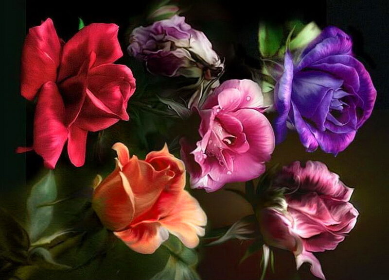 Bouquet of Colorful Roses — Red, Dramatic