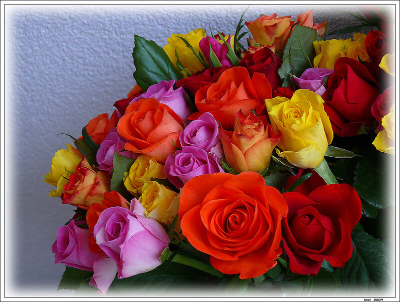 Bouquet of Colorful Roses — Red, Vibrant