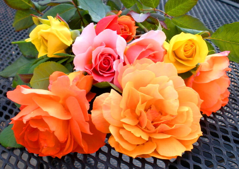 Bouquet of Colorful Roses — Yellow, Calm