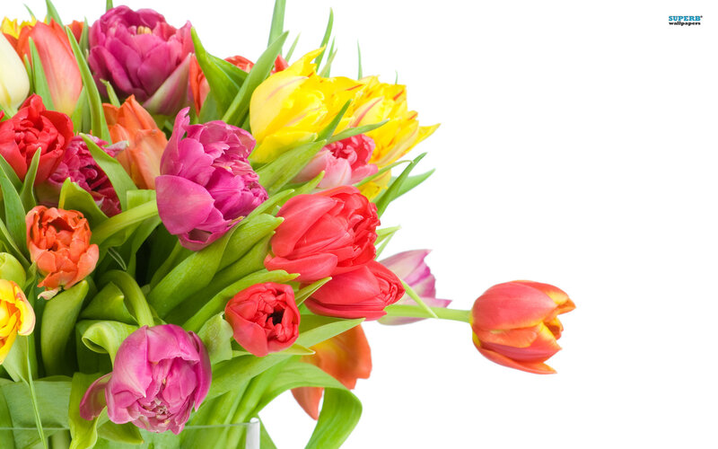 Bouquet of Colorful Tulips — Pink, Bright
