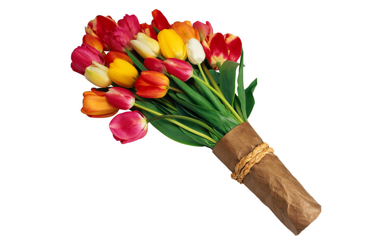 Bouquet of Colorful Tulips — Red, Bright
