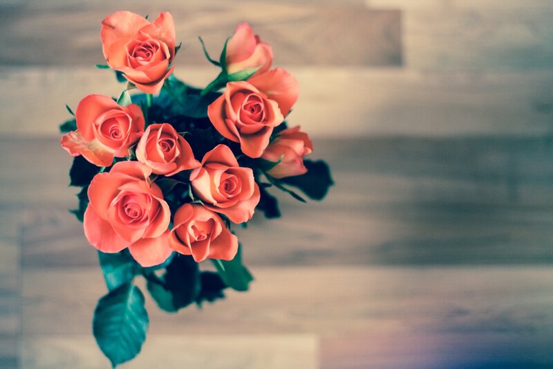 bouquet of coral roses