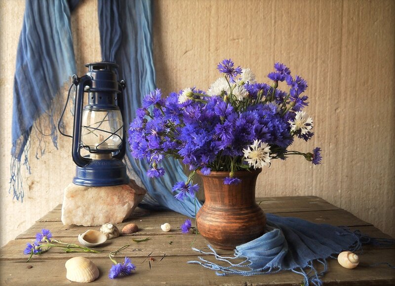 Bouquet of Cornflowers — Blue, Serene, Photograph