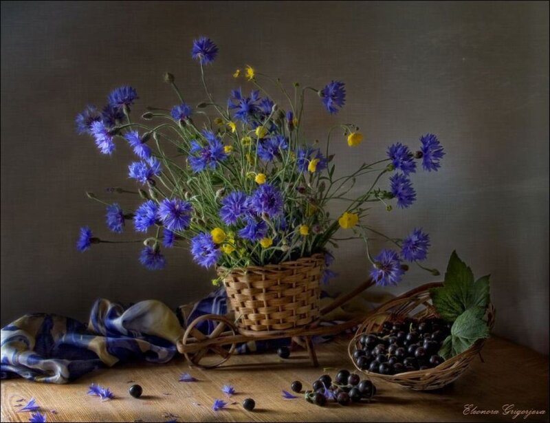 Bouquet of Cornflowers — Blue