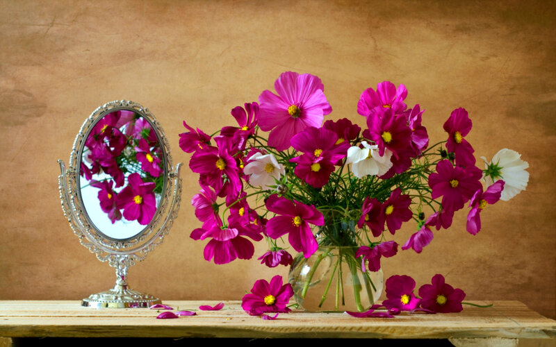 Bouquet of Cosmos Flowers — Pink, Calm