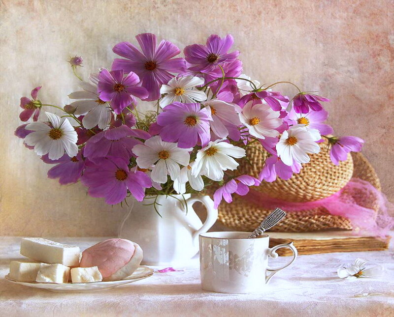 Bouquet of Cosmos Flowers — Purple, Serene