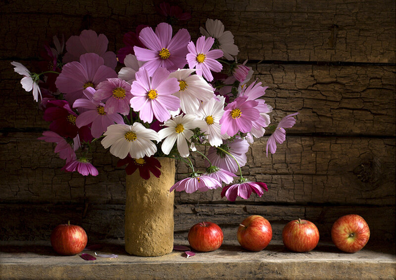 Bouquet of Cosmos Flowers