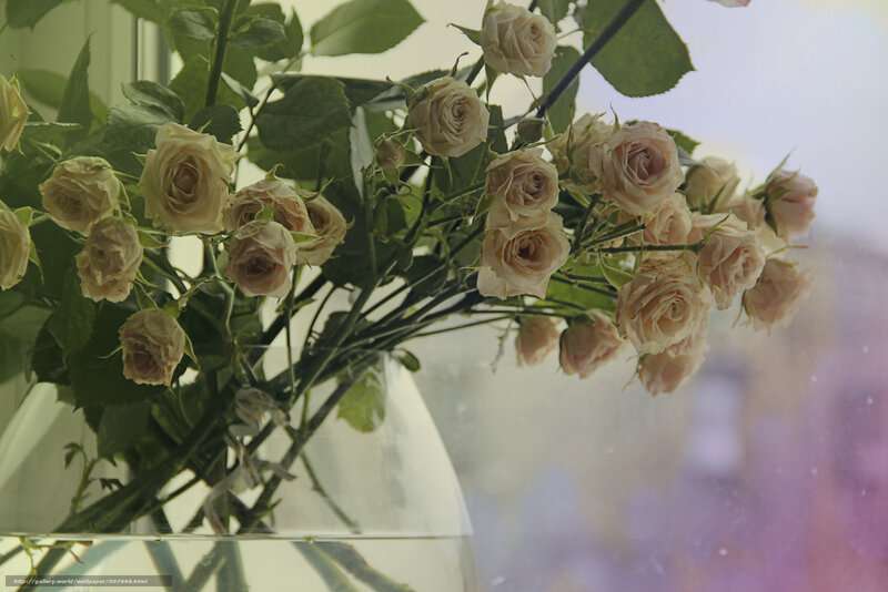 Bouquet of cream roses