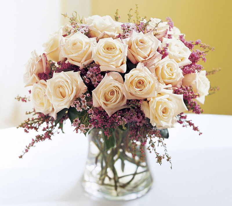 Bouquet of Cream Roses — Calm, Afternoon