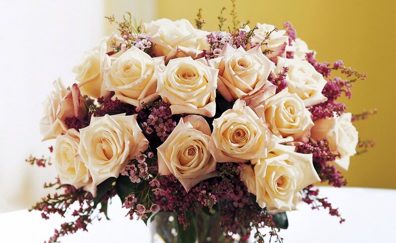 Bouquet of Cream Roses — Calm, Photograph, Purple Filler Flowers