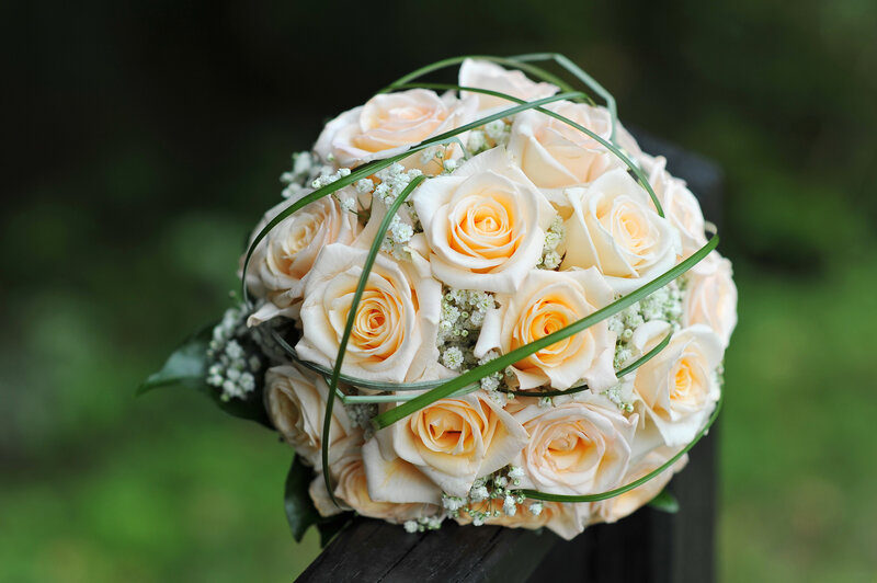 Bouquet of Cream Roses — Serene, Photograph