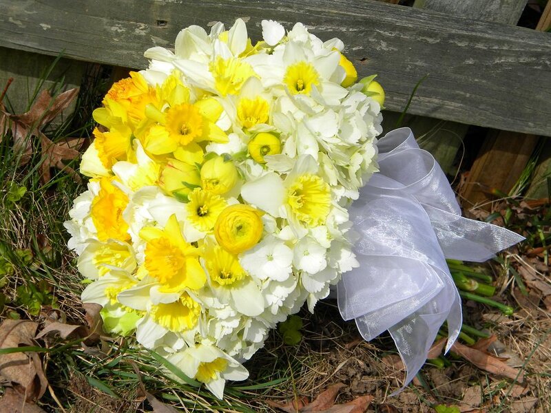 Bouquet of Daffodils
