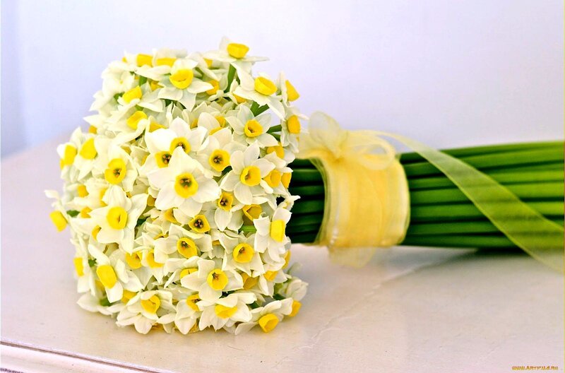 Bouquet of Daffodils — White