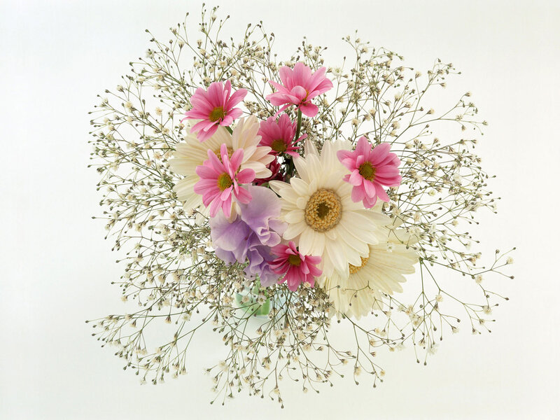 Bouquet of Daisies and Baby's Breath