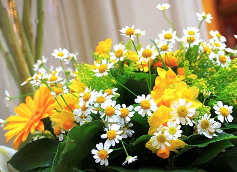 Bouquet of Daisies and Gerbera