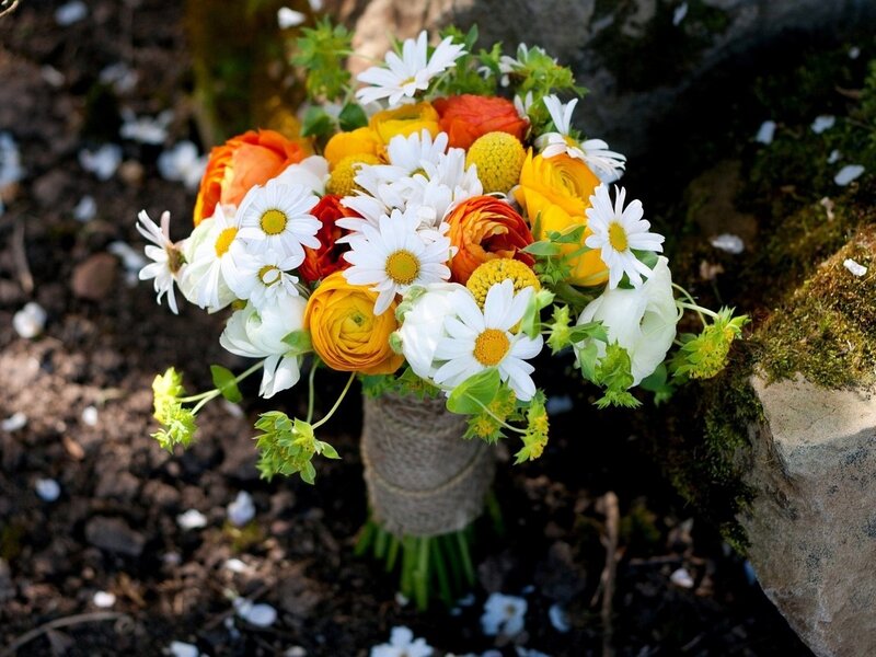 Bouquet of Daisies and Ranunculus