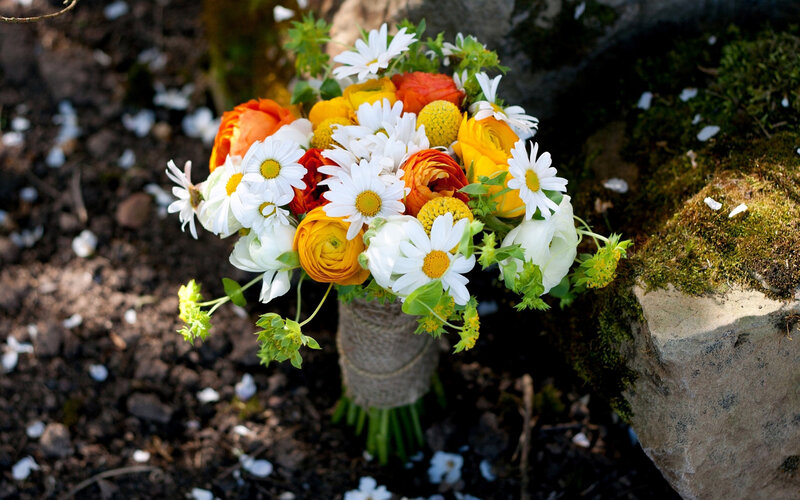 Bouquet of Daisies and Ranunculus — White