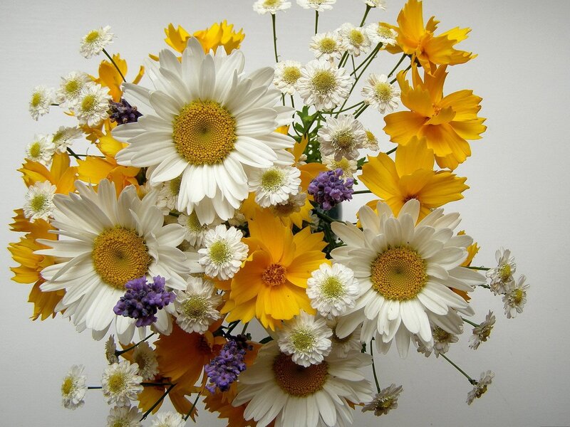 bouquet of daisies and yellow flowers