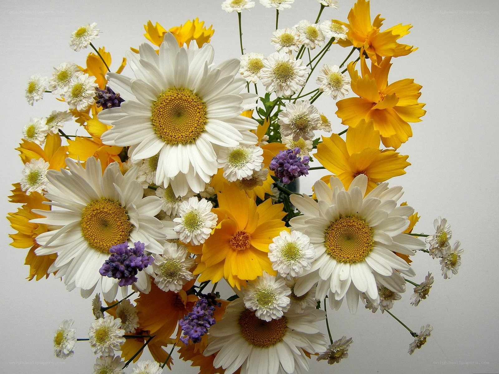 bouquet of daisies and yellow flowers