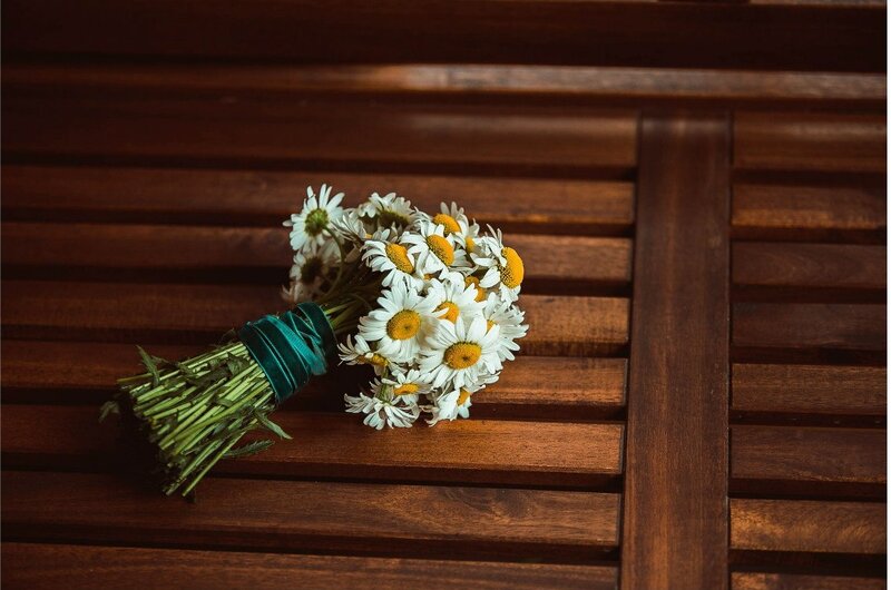 Bouquet of Daisies — Brown, Calm