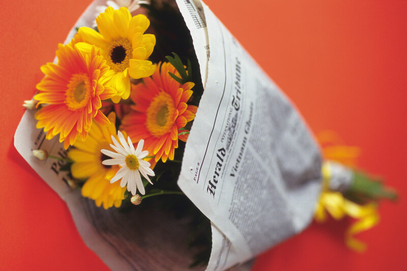 Bouquet of Daisies — Orange, Vibrant