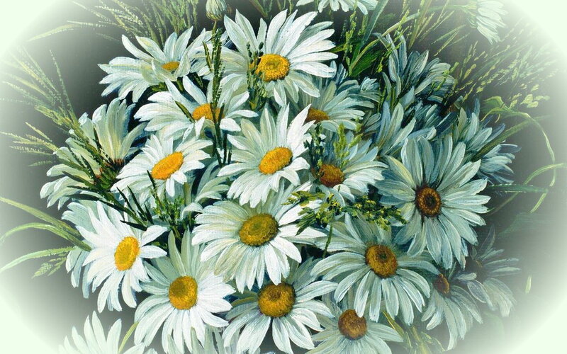 Bouquet of Daisies — White, Calm, Painting