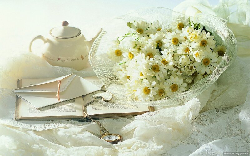 Bouquet of Daisies — White, Serene, Morning, Photograph