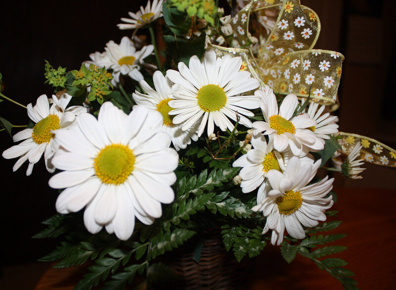 Bouquet of Daisies — White