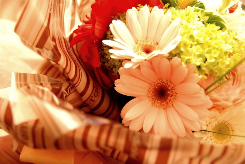 Bouquet of Daisies — White, Warm