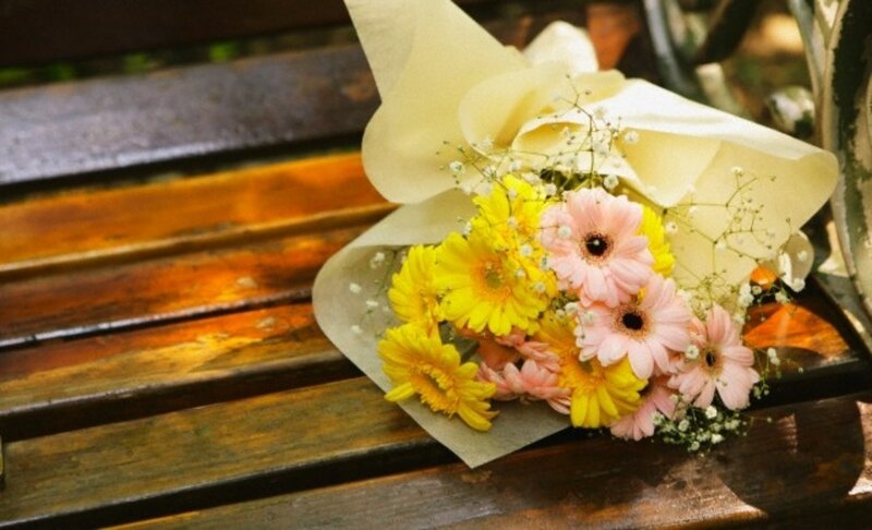 Bouquet of Daisies — Yellow, Calm