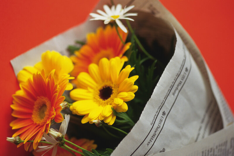 Bouquet of Daisies — Yellow, Vibrant