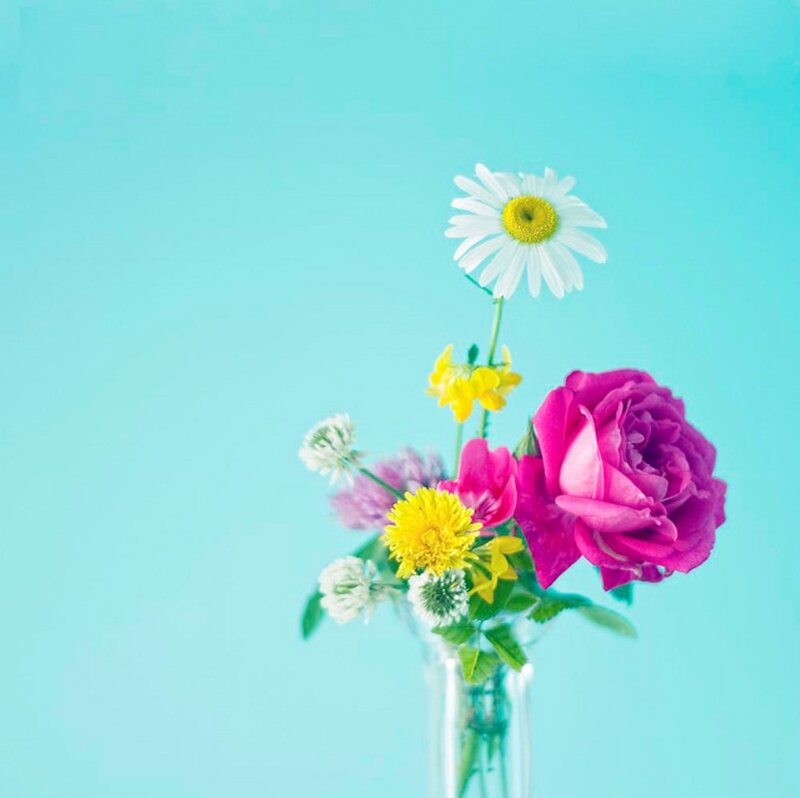 Bouquet of Flowers — Blue, Calm, Photograph, Daisy