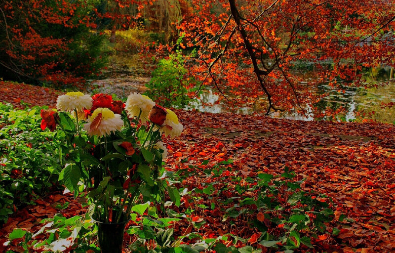 Bouquet of Flowers by Pond