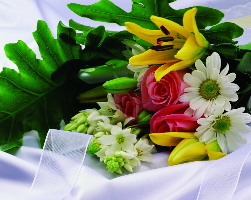 Bouquet of Flowers — Green, Calm, Photograph
