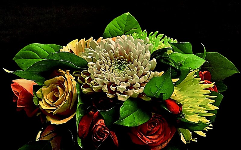 Bouquet of Flowers — Green, Dramatic, Photograph, Roses