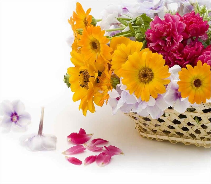 Bouquet of Flowers in Basket — Yellow, Calm