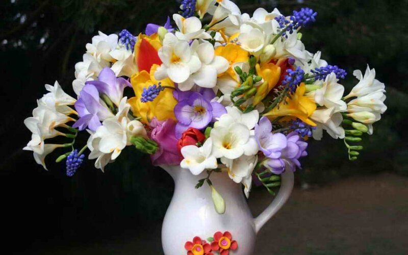 Bouquet of Flowers in Pitcher — White
