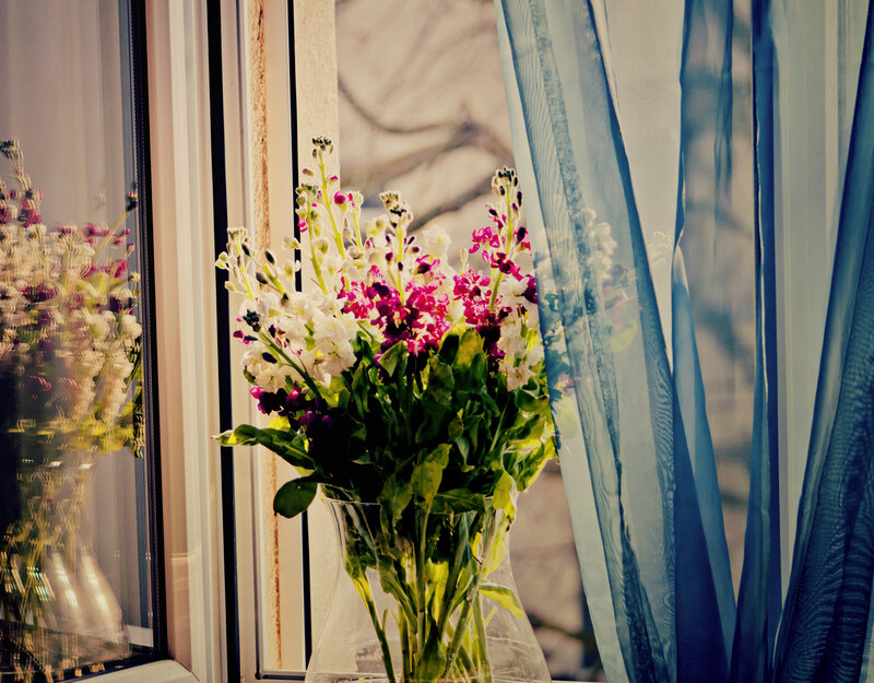 Bouquet of Flowers in Vase — Blue, Calm