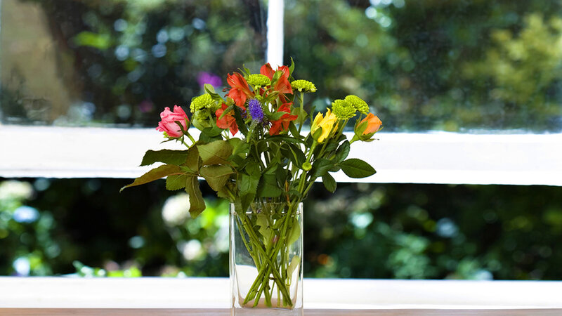 Bouquet of Flowers in Vase — Green, Calm, Afternoon