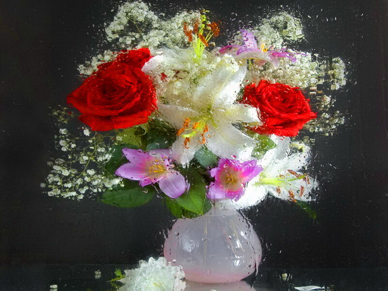 Bouquet of Flowers in Vase — Red, Calm