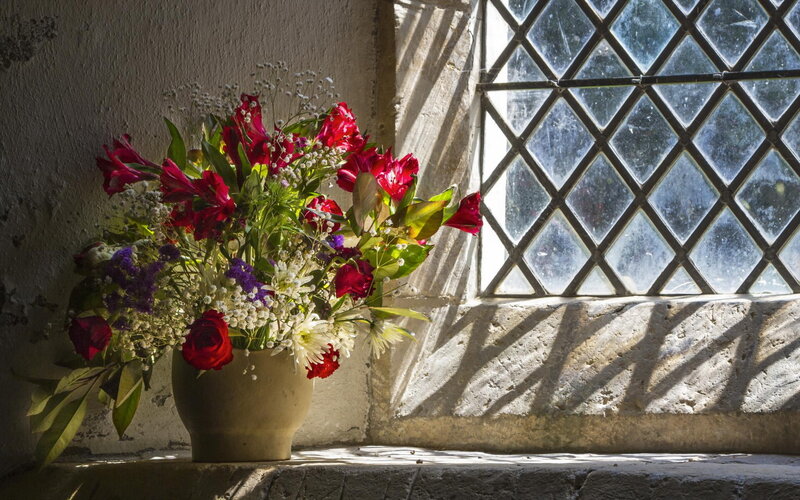 Bouquet of Flowers in Vase — Red, Serene, Afternoon