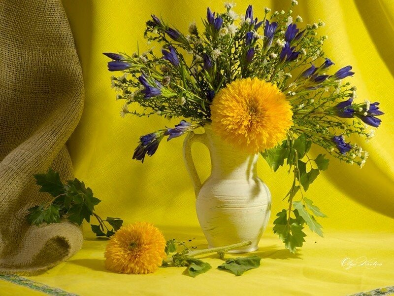 Bouquet of Flowers in Vase — Yellow, Calm, Afternoon