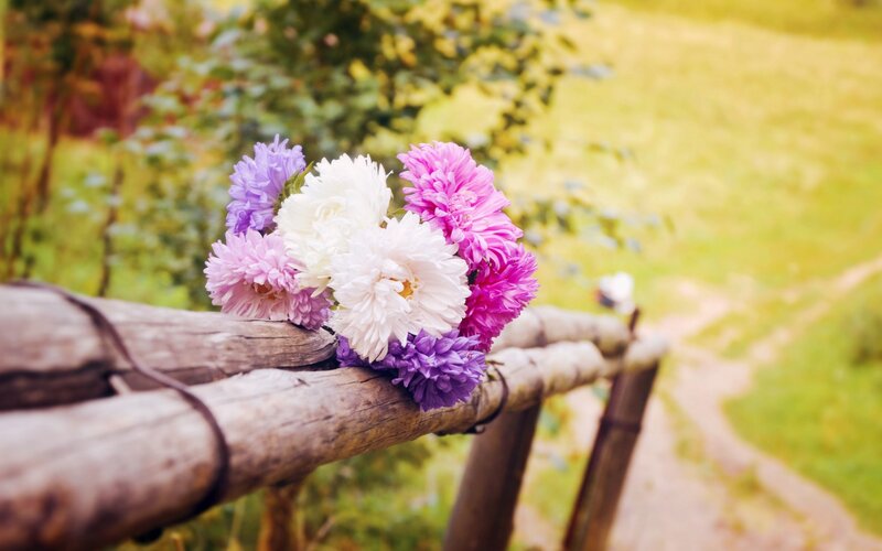 Bouquet of Flowers on Fence — Purple