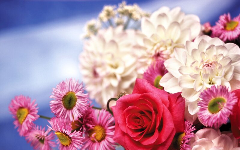 Bouquet of Flowers — Pink, Bright