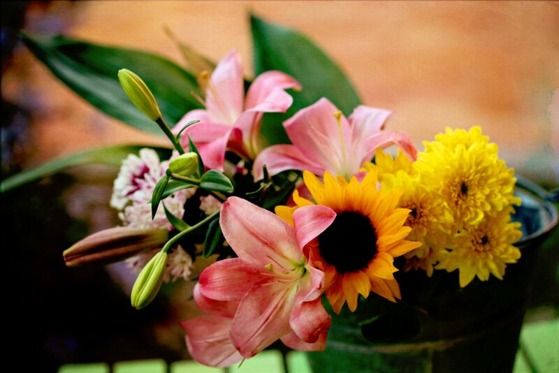 Bouquet of Flowers — Pink, Calm, Afternoon