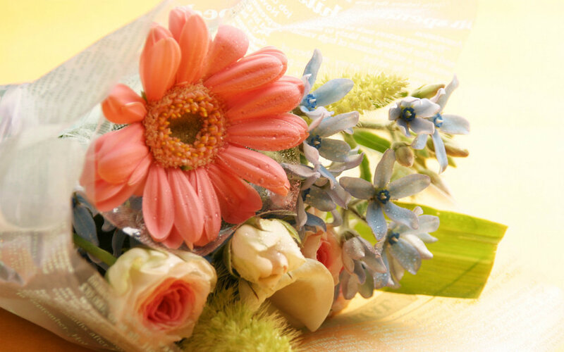 Bouquet of Flowers — Pink, Calm, Morning